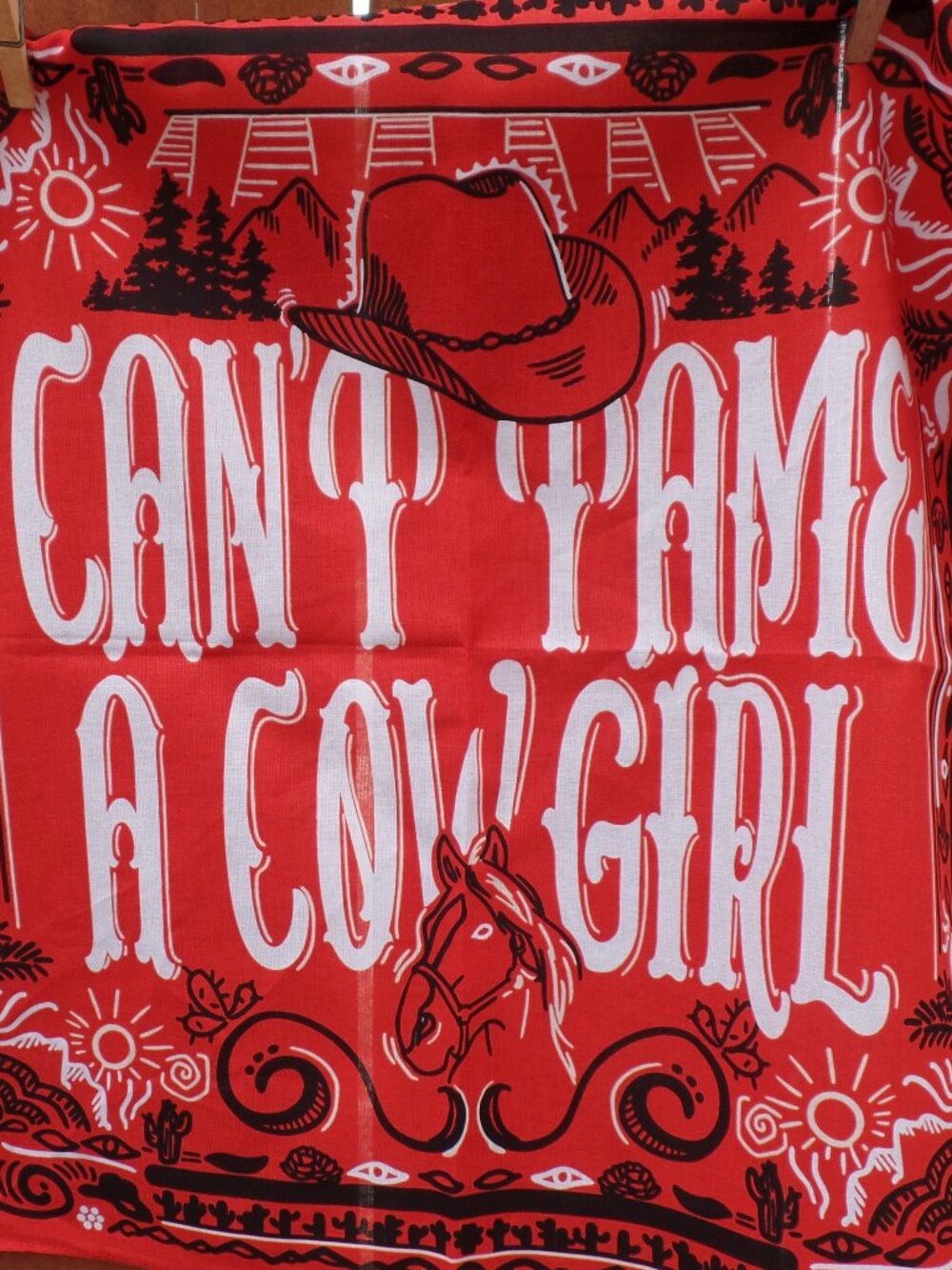 Western Cowgirl Scarf NEW - Picture 7 of 9
